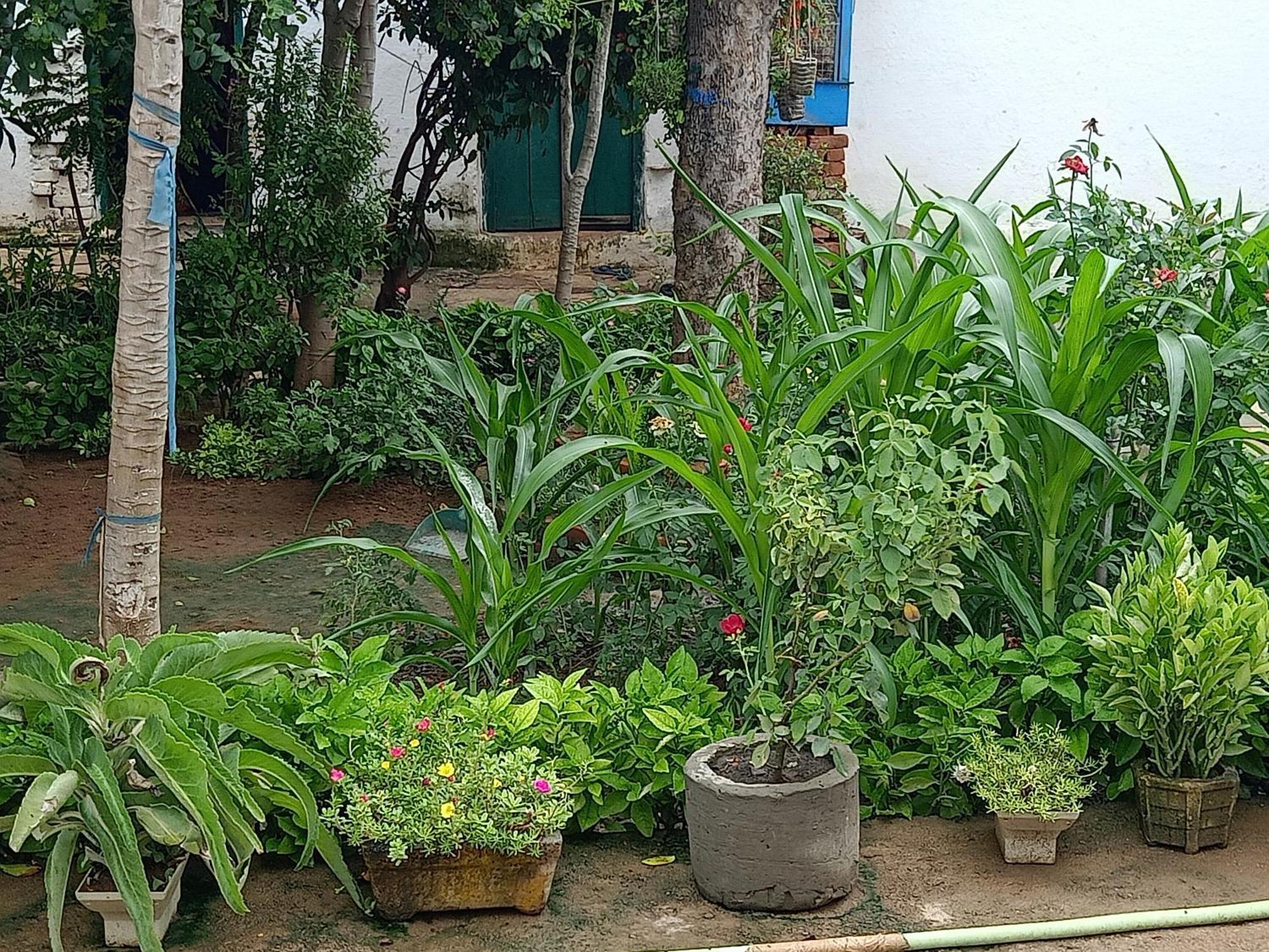 Appartamento Khajuraho Rancho Esterno foto